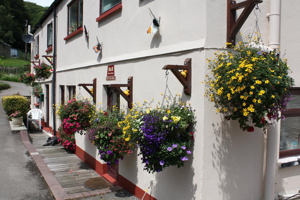 The Old Mill Self Contained Apartment Looe Exterior photo